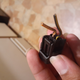 Illustration for article titled Sometimes The Solution To A Stupefying Electrical Problem Is Simply Jiggling A Wire